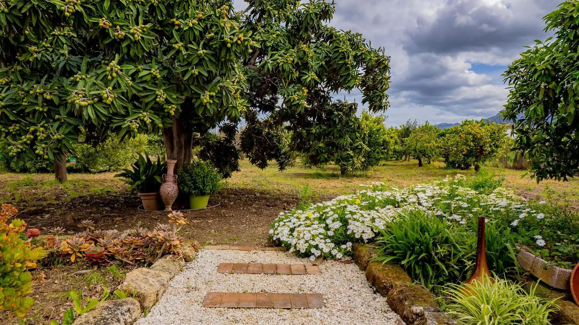 Dom wakacyjny Cubo'S Finca Pati Alhaurín el Grande